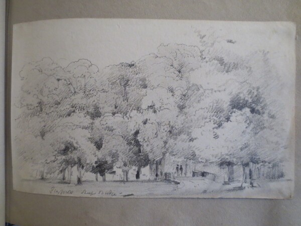 FDA-V.8-2016-AZ image FDA-V.8-2016-AZ