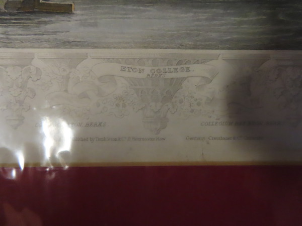 FDA-E.3232-2023-D image FDA-E.3232-2023-D