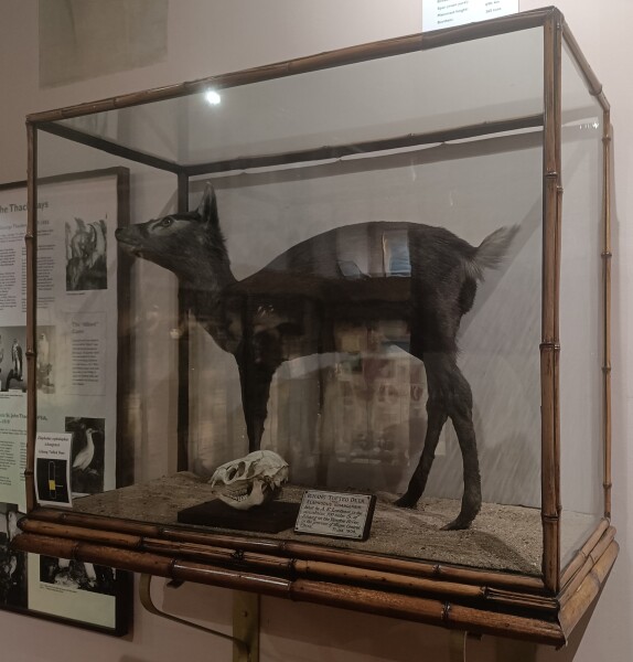 image FDA-A.2172-2020-B