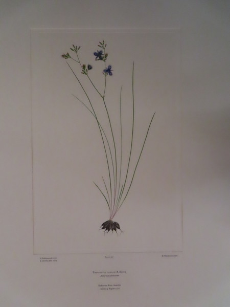 image FDA-E.2916_15_15-2016