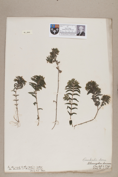 NHM_HH_30.41-2010 image NHM_HH_30.41-2010