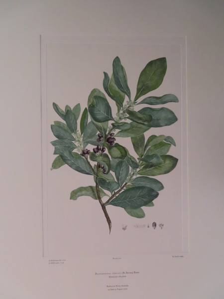 image FDA-E.2916_9_24-2016-A