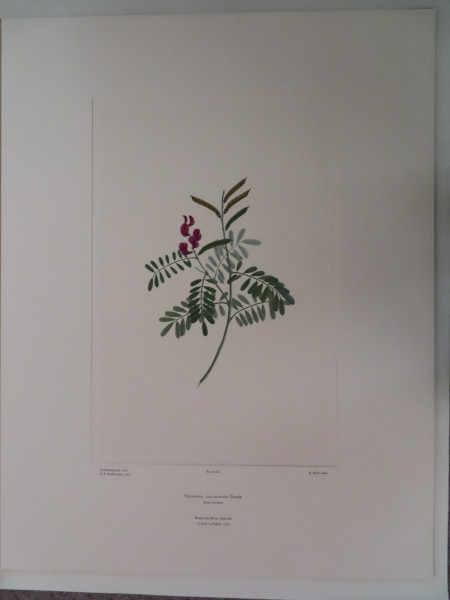 FDA-E.2916_3_24-2016 image FDA-E.2916_3_24-2016