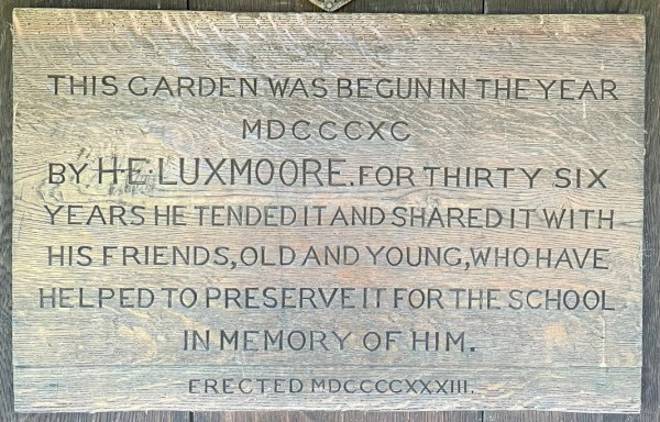 image FDA-A.2482-2024