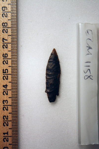 ECM.1158-2010-A image ECM.1158-2010-A