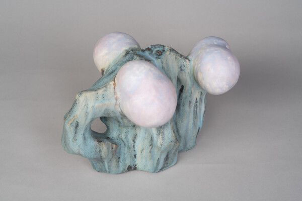 FDA-A.2561-2024-crD image FDA-A.2561-2024-crD