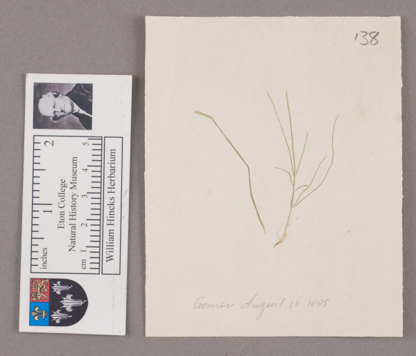 NHM_HH_1.138-2010 image NHM_HH_1.138-2010