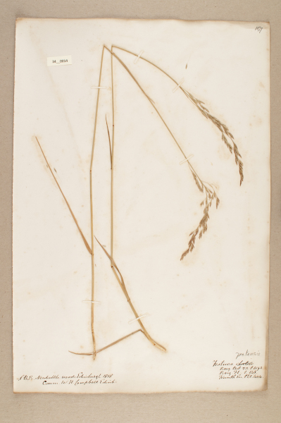 NHM_HH_34.14-2010 image NHM_HH_34.14-2010