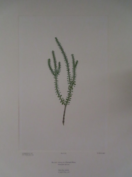 image FDA-E.2916_5_21-2016