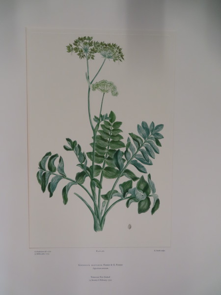 image FDA-E.2916_22_19-2016-A