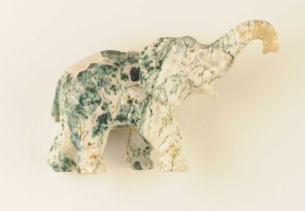 NHM-EE.105-2015 image NHM-EE.105-2015