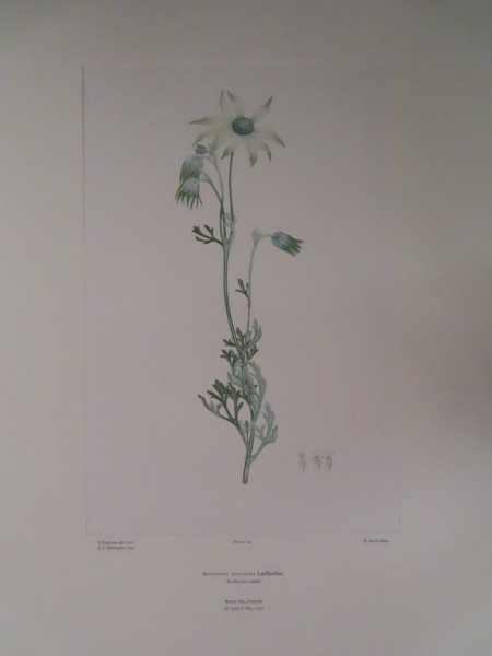 image FDA-E.2916_7_9-2016