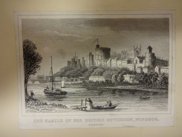 FDA-E.2319-2015 image FDA-E.2319-2015