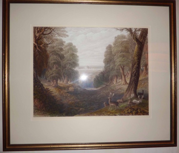 FDA-E.712-2012 image FDA-E.712-2012