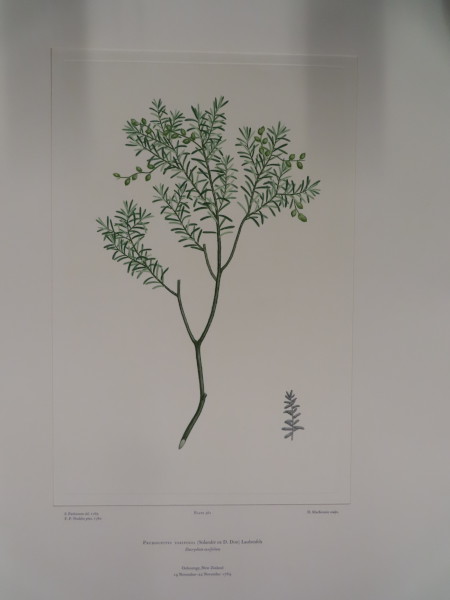 image FDA-E.2916_26_26-2016