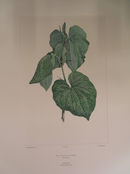 image FDA-E.2916_30_17-2016