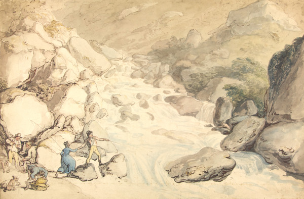 FDA-D.446-2010 image FDA-D.446-2010