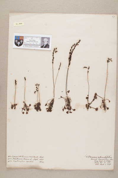 NHM_HH_10.44-2010 image NHM_HH_10.44-2010