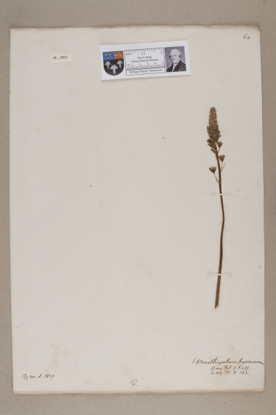 NHM_HH_38.21-2010 image NHM_HH_38.21-2010