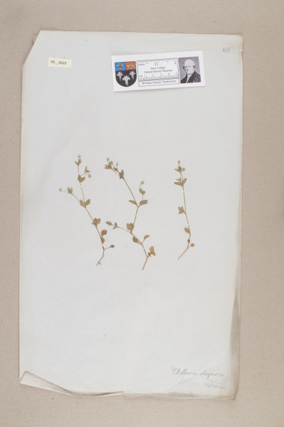 NHM_HH_9.29-2010 image NHM_HH_9.29-2010