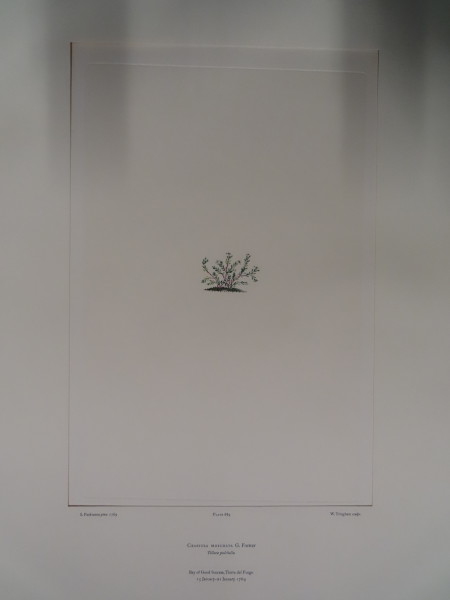 image FDA-E.2916_32_19-2016