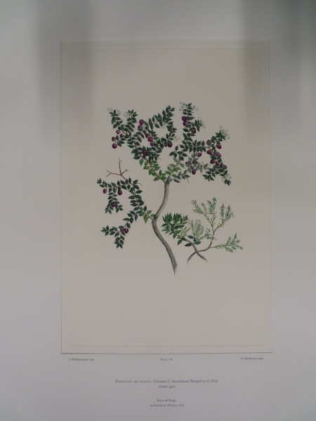 FDA-E.2916_34_5-2016 image FDA-E.2916_34_5-2016