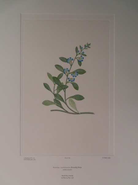 image FDA-E.2916_9_7-2016