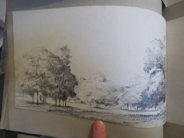 FDA-V.8-2016-BJ image FDA-V.8-2016-BJ