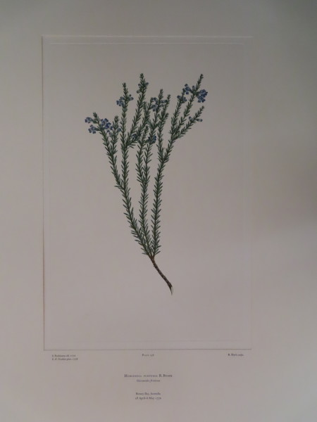 image FDA-E.2916_12_12-2016