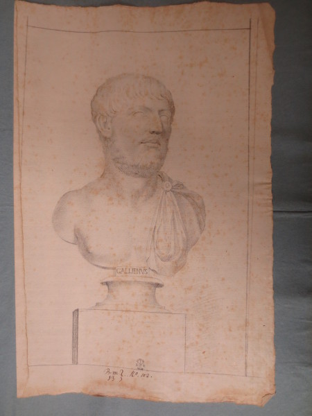 ECL-Bm.13_102-2013 image ECL-Bm.13_102-2013