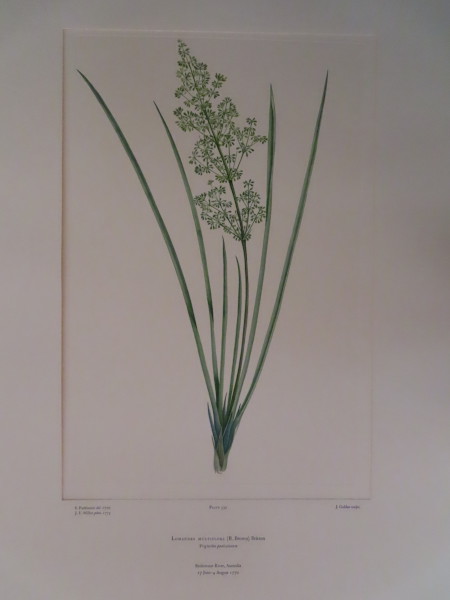 FDA-E.2916_15_20-2016-A image FDA-E.2916_15_20-2016-A