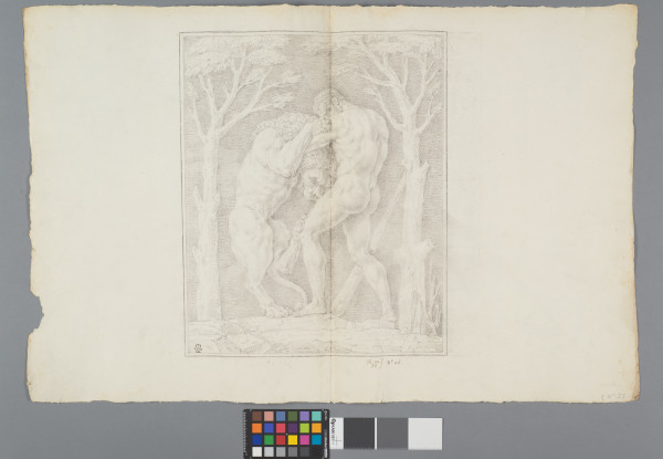 ECL-Bm.12_56-2013 image ECL-Bm.12_56-2013