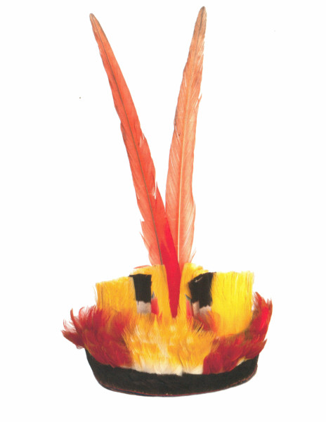 NHM-HT.95-2014 image NHM-HT.95-2014