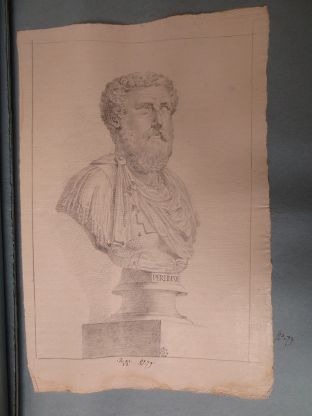 ECL-Bm.13_79-2013 image ECL-Bm.13_79-2013