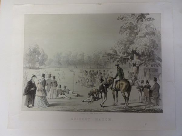 FDA-E.316-2010 image FDA-E.316-2010