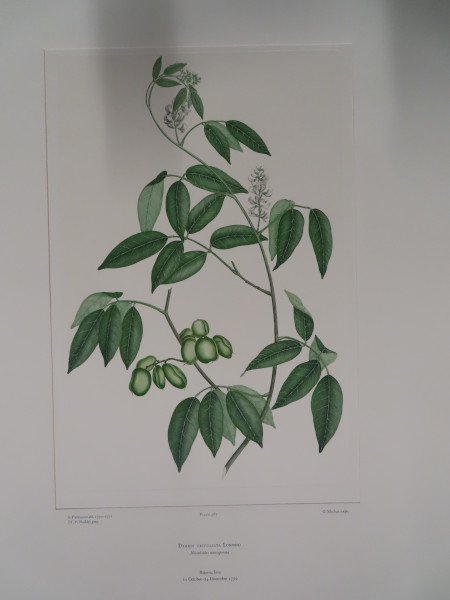 image FDA-E.2916_17_10-2016