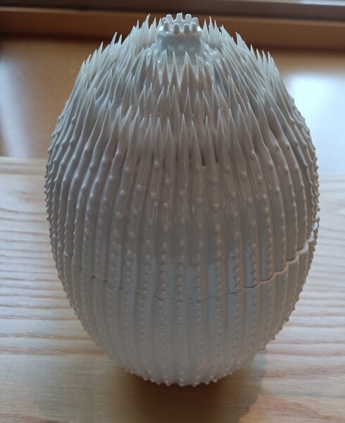 FDA-A.2565-2024 image FDA-A.2565-2024