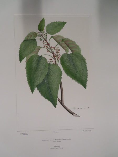 image FDA-E.2916_20_21-2016