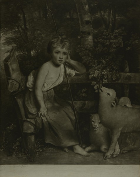 FDA-E.11-2014 image FDA-E.11-2014