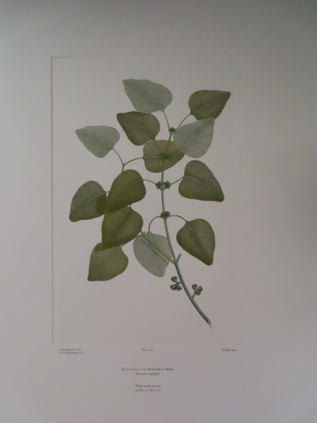 image FDA-E.2916_6_11-2016-A