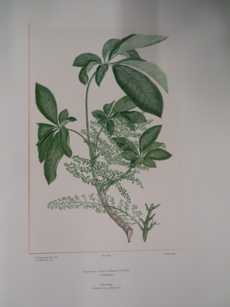 image FDA-E.2916_22_23-2016