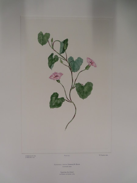 image FDA-E.2916_24_24-2016