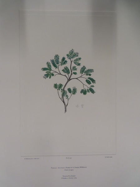 FDA-E.2916_26_7-2016 image FDA-E.2916_26_7-2016