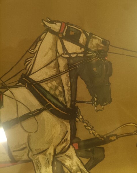 FDA-E.903-2013-D image FDA-E.903-2013-D