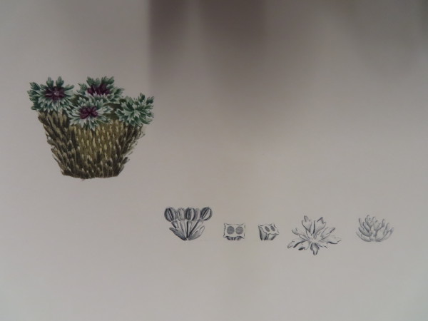 FDA-E.2916_32_24-2016-A image FDA-E.2916_32_24-2016-A