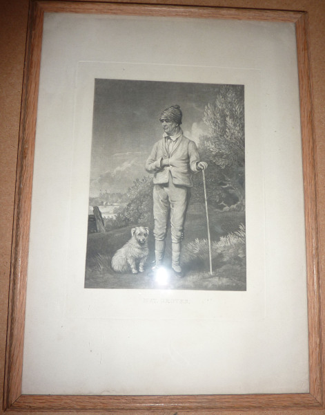 FDA-E.1070-2013 image FDA-E.1070-2013