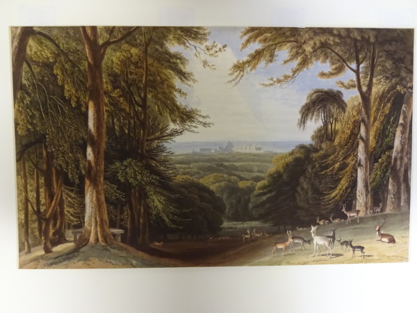 FDA-E.2765-2016 image FDA-E.2765-2016