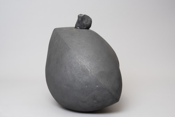 FDA-A.1063-2020-crA image FDA-A.1063-2020-crA