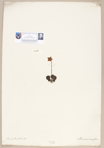 NHM_HH_12.27-2010 image NHM_HH_12.27-2010