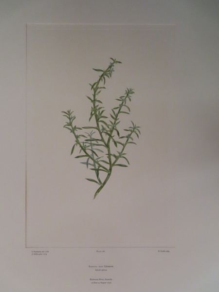 image FDA-E.2916_12_17-2016